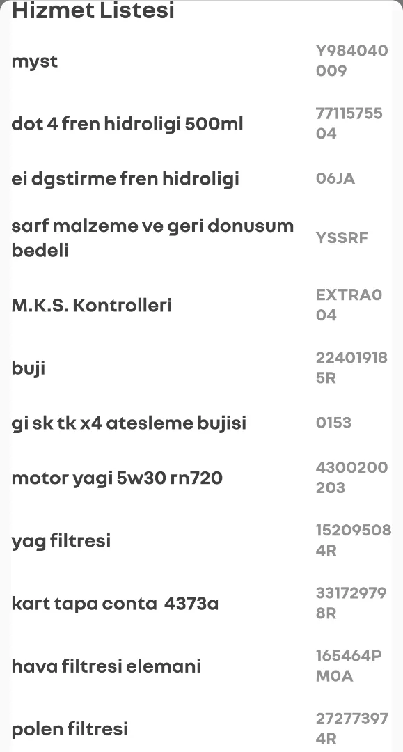 1.3 tce bakım_Renault PORT.webp